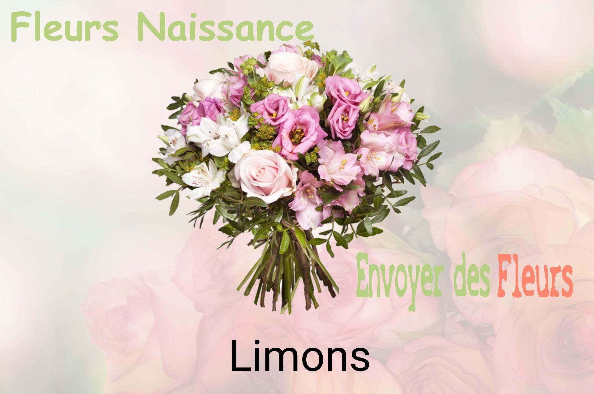 Bouquet de fleurs de naissance livré à Limons