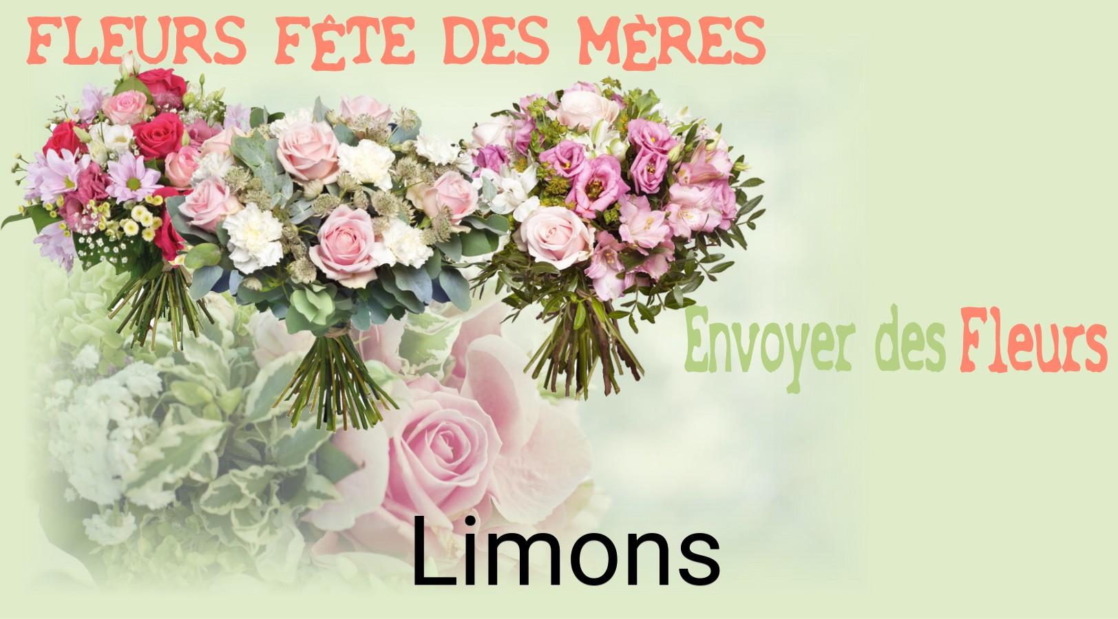 Bouquet de Fête des Mères livré à Limons